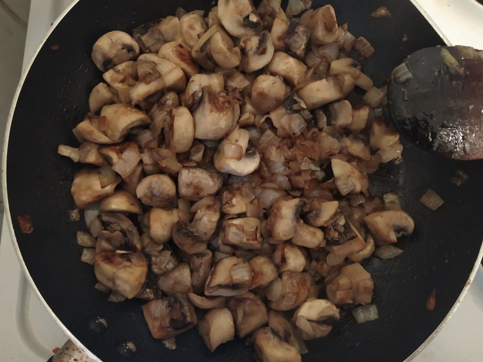  mushrooms 